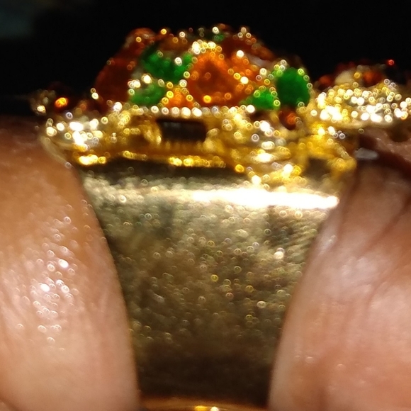 Turtle - Picture 2 of 2